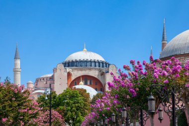 İstanbul, Türkiye - 15 Ağustos 2018: Dünyanın en ünlü Ayasofya Müzesi 'nin 15 Ağustos 2018' de İstanbul, Türkiye 'de bulunan güzel çiçeklerle gündüz görünümü
