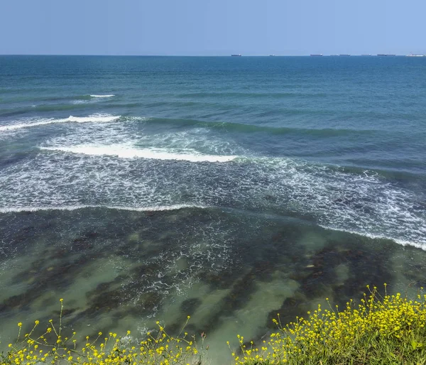 Krasnodar bölgesi Gelendzhik siyah Tolsty cape dalgalar deniz gemi çiçekler