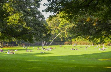 Almanya, Köln. Çimlerin üzerinde kal. İnsanlar çimlerin üzerinde rahatlar.