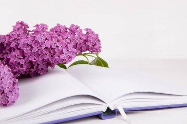 Lila beyaz arka plan üzerine açık Not Defteri ile buket