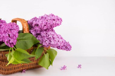 Hasır sepet beyaz arka plan üzerinde leylak buket