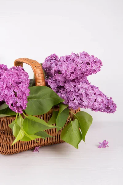 Hasır sepet beyaz arka plan üzerinde leylak buket