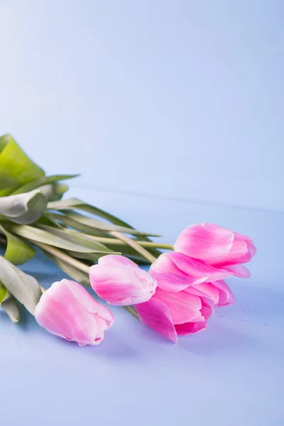 Ramo de tiernos tulipanes rosados sobre fondo de madera azul — Foto de Stock