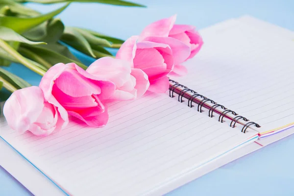 Buquê de tulipas rosa concurso com caderno aberto em madeira azul — Fotografia de Stock