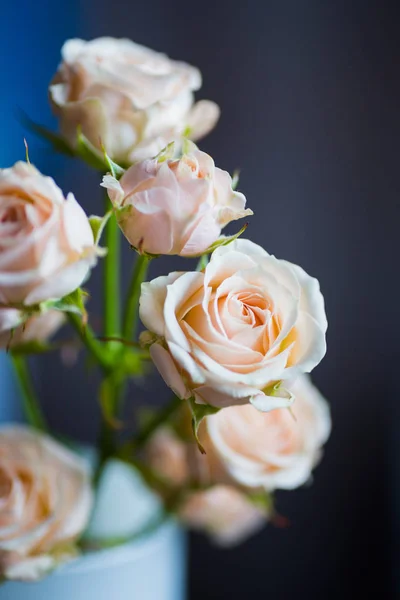 Ramo de rosas cremosas tiernas en jarrón — Foto de Stock