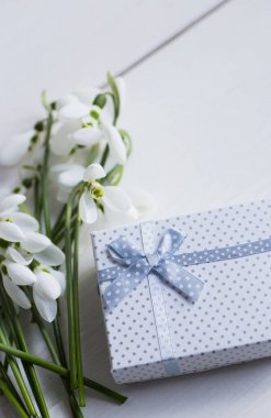 Beyaz ahşap backgrou üzerinde hediye kutusu ile güzel beyaz kardelen
