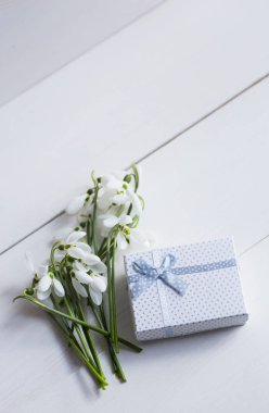 Beyaz ahşap backgrou üzerinde hediye kutusu ile güzel beyaz kardelen