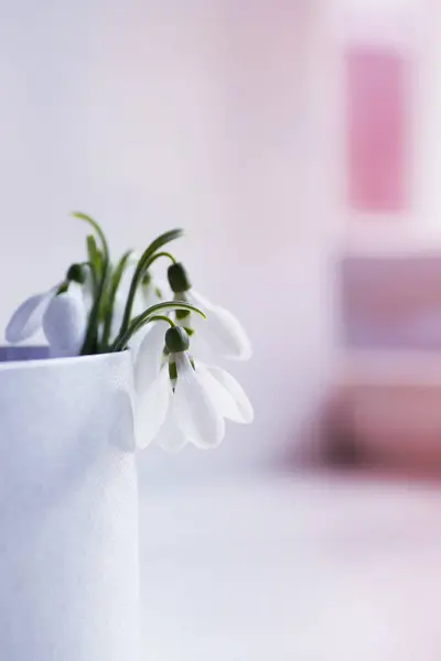 Bouquet de beaux gouttes de neige blanches en boîte près de la fenêtre — Photo