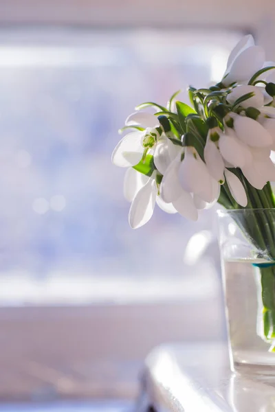 Schöne weiße Schneeglöckchen in Glasvase am sonnigen Fenster — Stockfoto