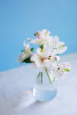 İhale buket güzel mavi b cam vazoda Alstroemeria