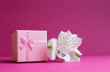 Kızıl backgro üzerinde tek alstroemeria çiçekli pembe hediye kutusu