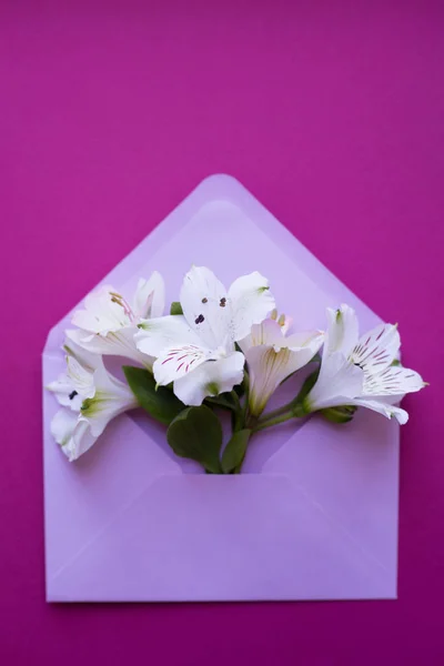 Beautiful tender bouquet of Alstroemeria in envelope on crimson — Stock Photo, Image