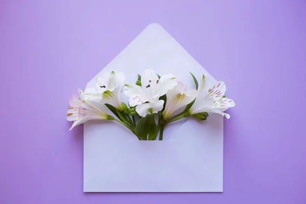 Beautiful tender bouquet of Alstroemeria in envelope on lilac ba — Stock Photo, Image