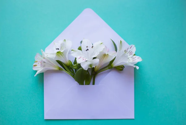 Beautiful tender bouquet of Alstroemeria in envelope on mint gre — Stock Photo, Image