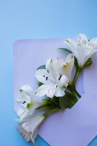 Bellissimo bouquet tenero di Alstroemeria in busta su bac blu — Foto Stock