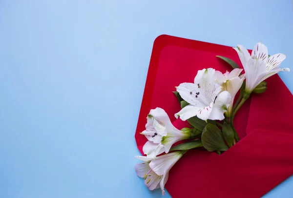 Bellissimo bouquet tenero di Alstroemeria in busta su bac blu — Foto Stock