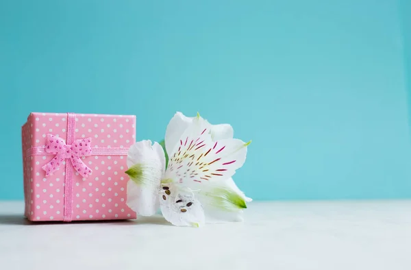 Coffret cadeau rose avec fleur alstroemeria simple sur fond de menthe — Photo