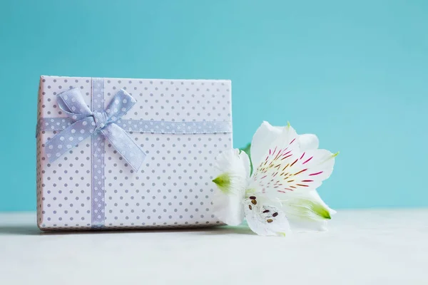 Caixa de presente branco com única flor de alstroemeria no backgroun de hortelã — Fotografia de Stock