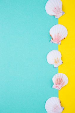 Deniz Midye kabukları ile negatif boşluk, renkli arka plan üzerinde t