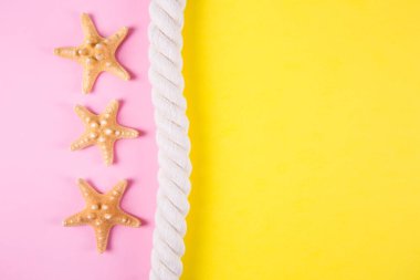 Üç starfishes ve deniz ip negati ile renkli arka plan üzerinde