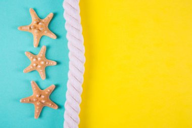 Üç starfishes ve deniz ip negati ile renkli arka plan üzerinde