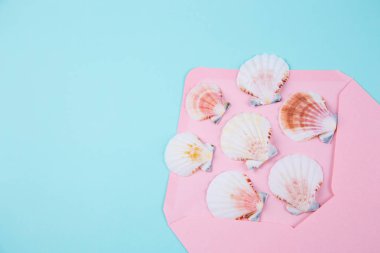 Renkli nane mavi geri birçok Midye kabukları ile pembe zarf