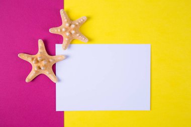 Boş kağıt sayfası renkli arka plan WIT Tarih iki starfishes ile