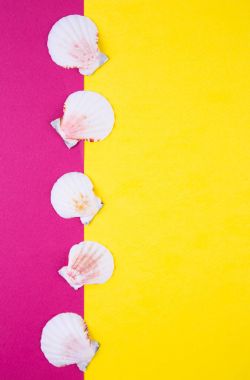 Deniz Midye kabukları ile negatif boşluk, renkli arka plan üzerinde t