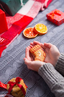 Gri örgü kazaklı sırlı gingerbread tutan eller 