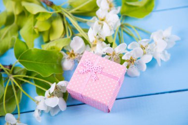 Çiçek beyaz kayısı dalları ile çevrili pembe hediye kutusu