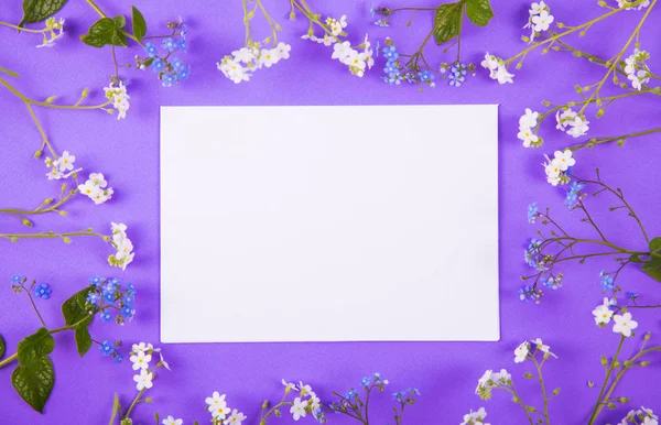 Clear sheet of white paper surrounded with blue and white little