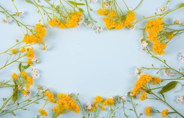 Işık nane arka planda sarı ve beyaz çiçekler bahar çerçeve yapılmış.