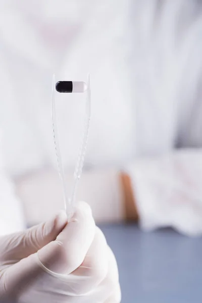 Hand in latex glove holding tweezers with black and white capsule. Pharmaceutical research. — Stock Photo, Image