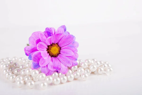 Primeros planos flor de crisantemo púrpura acostado en collar de perlas sobre fondo de madera blanca — Foto de Stock