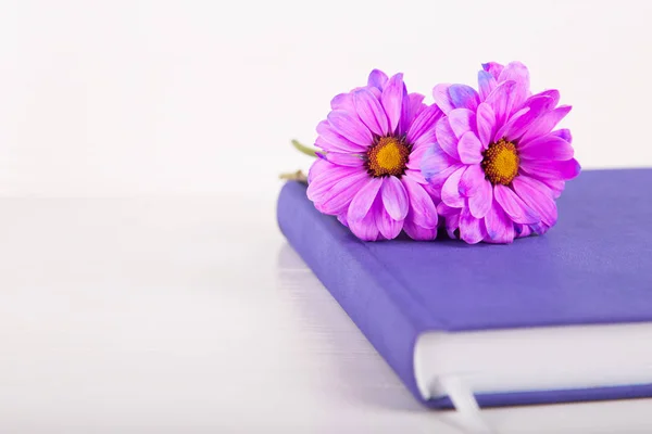 Duas flores de crisântemo roxo no caderno fechado violeta no fundo de madeira branco — Fotografia de Stock