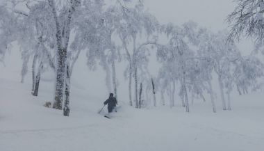 Karlı ormandaki derin toz kayak kayakçı