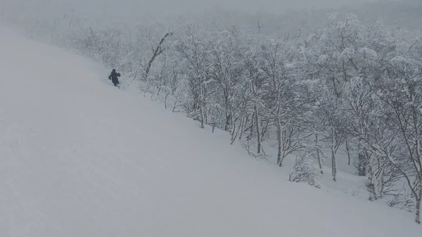 Karlı ormandaki derin toz kayak kayakçı — Stok fotoğraf