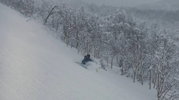 Esqui esquiador pó profundo na floresta nevada — Fotografia de Stock