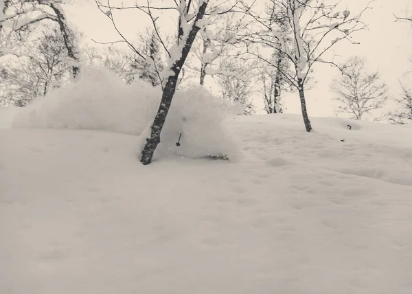 Esqui esquiador pó profundo na floresta nevada — Fotografia de Stock