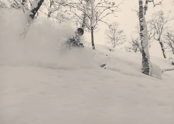 स्कीयर स्कीइंग गहरी पाउडर बर्फीले जंगल में — स्टॉक फ़ोटो, इमेज