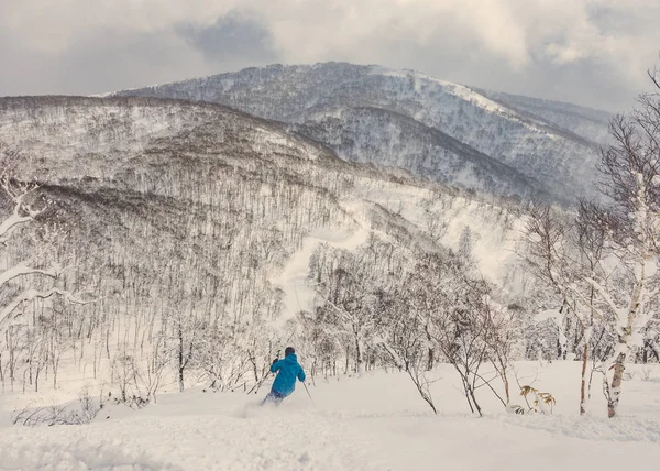 Esqui esquiador pó profundo na floresta nevada — Fotografia de Stock