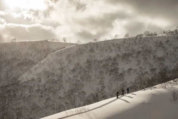 Esqui esquiador na montanha em um dia nublado — Fotografia de Stock