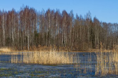 Gündüzleri güzel kuzey manzarası