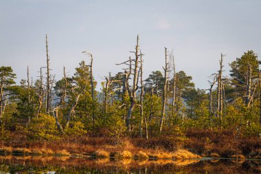 Güneşli bir günde güzel kuzey manzarası