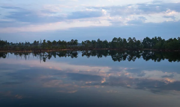 Beautiful northern landscape of river and forest