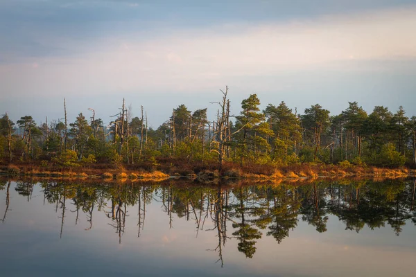 Hermoso Paisaje Norte Río Bosque — Foto de Stock