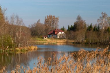 Güneşli bir günde güzel kuzey manzarası