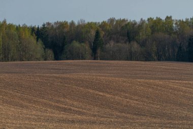 Güneşli bir günde tarım arazisi