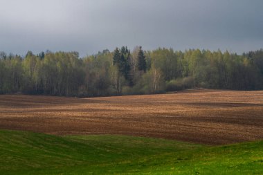 Gündüz vakti güzel yaz manzarası
