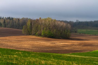 Gündüz vakti güzel yaz manzarası